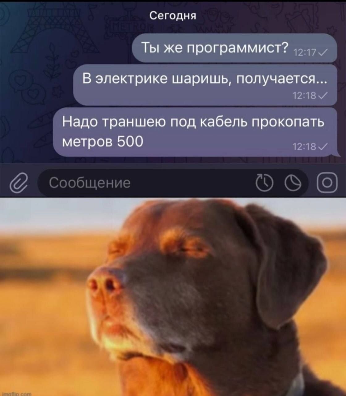 Изображение поста