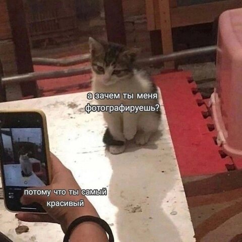 Аватар I am MIRACLE
